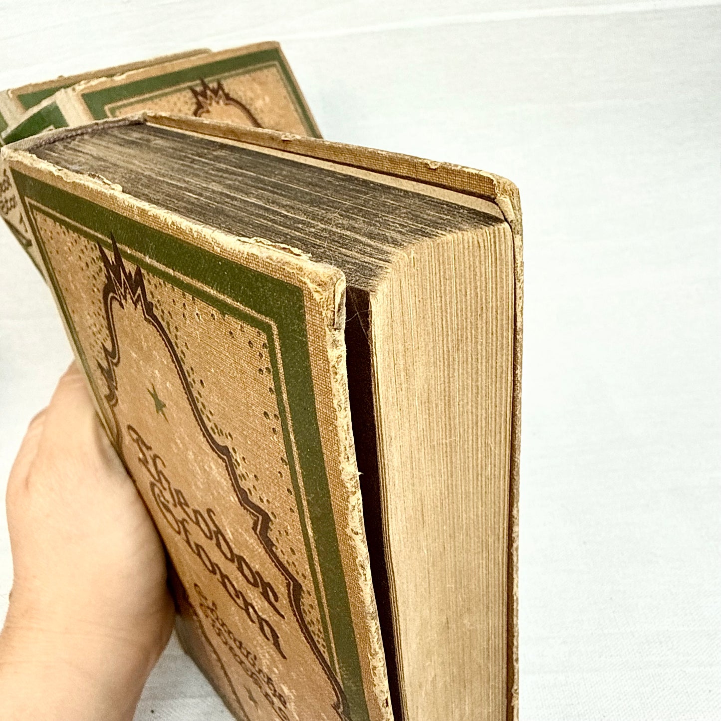 Antike Theodor Storm Bücher