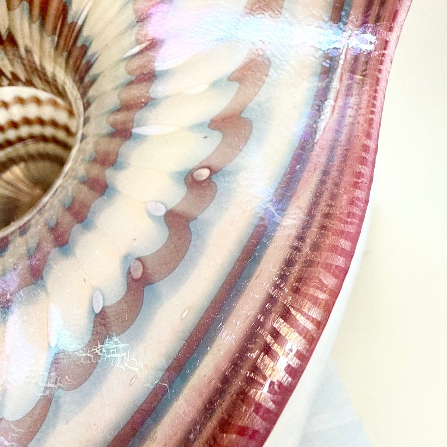 Vase Poschinger Pfauenauge pink