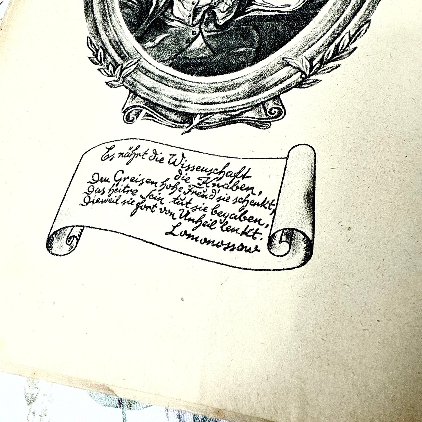 Aus dem Reiche der Entdeckungen