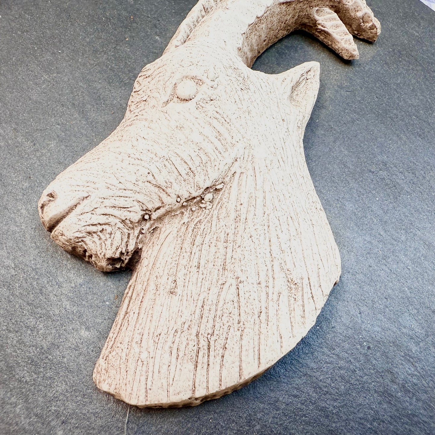 Steinbock auf Schieferplatte