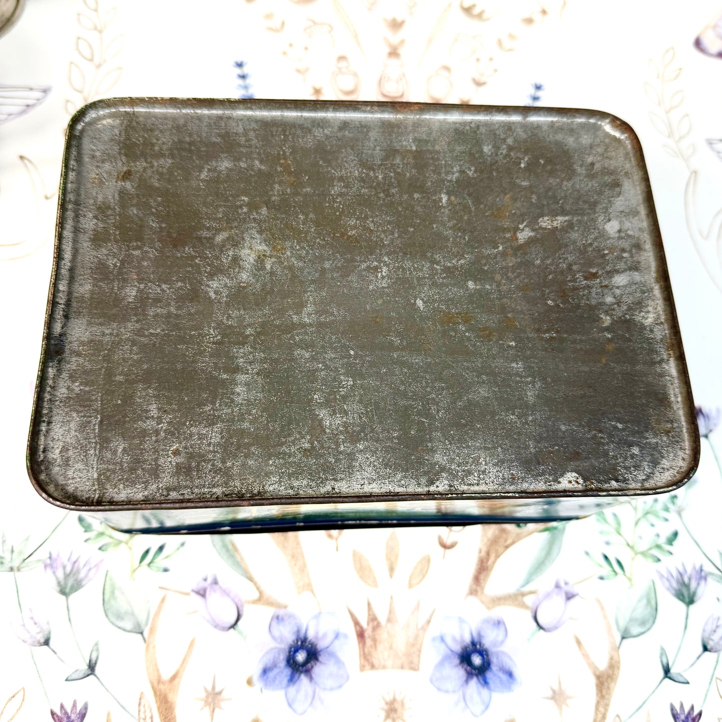 Metalldose botanisch