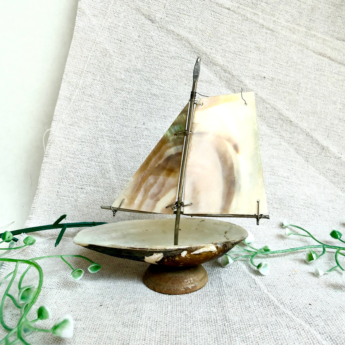 Segelschiff Perlmutt