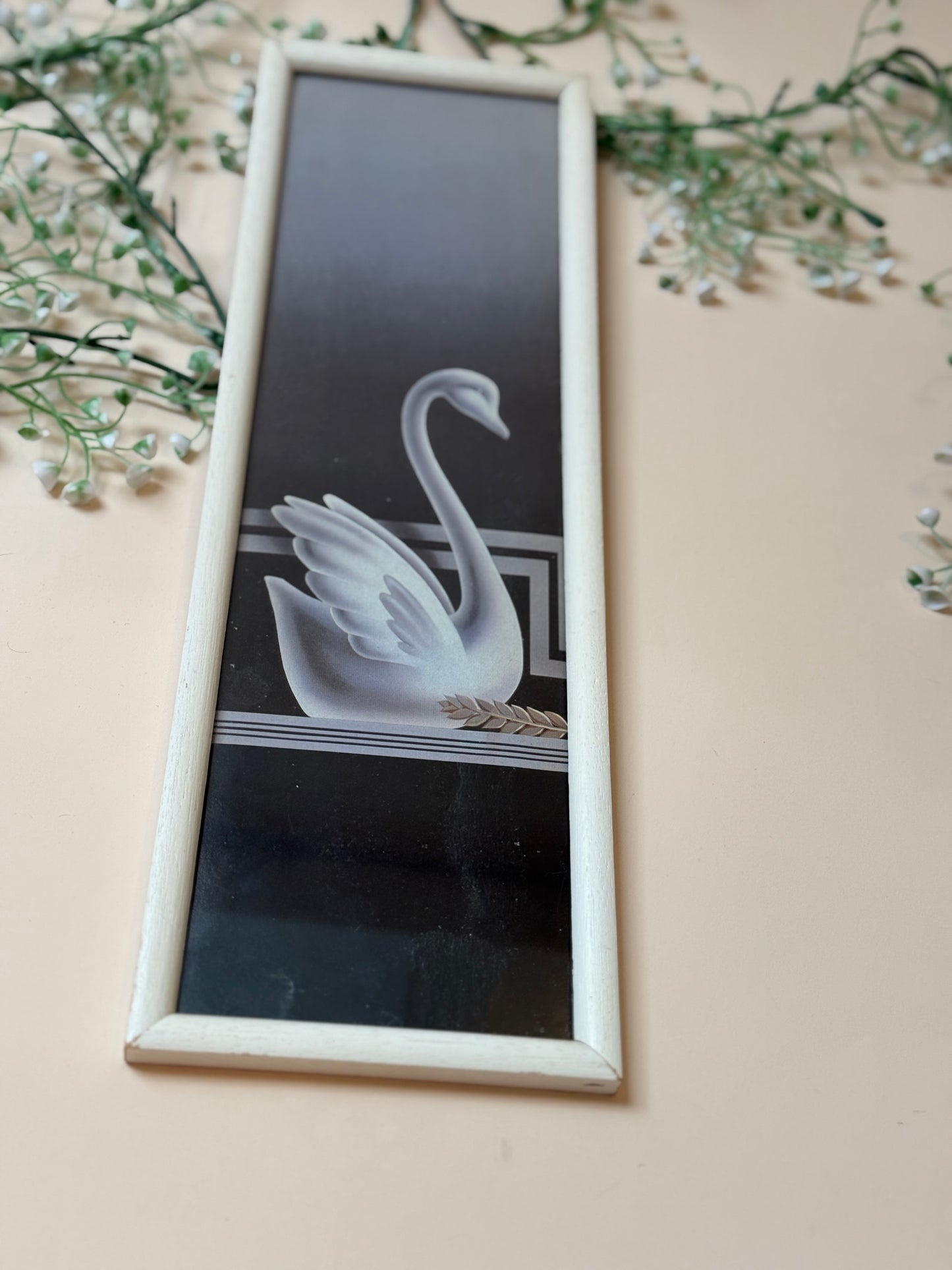 Bild Schwan