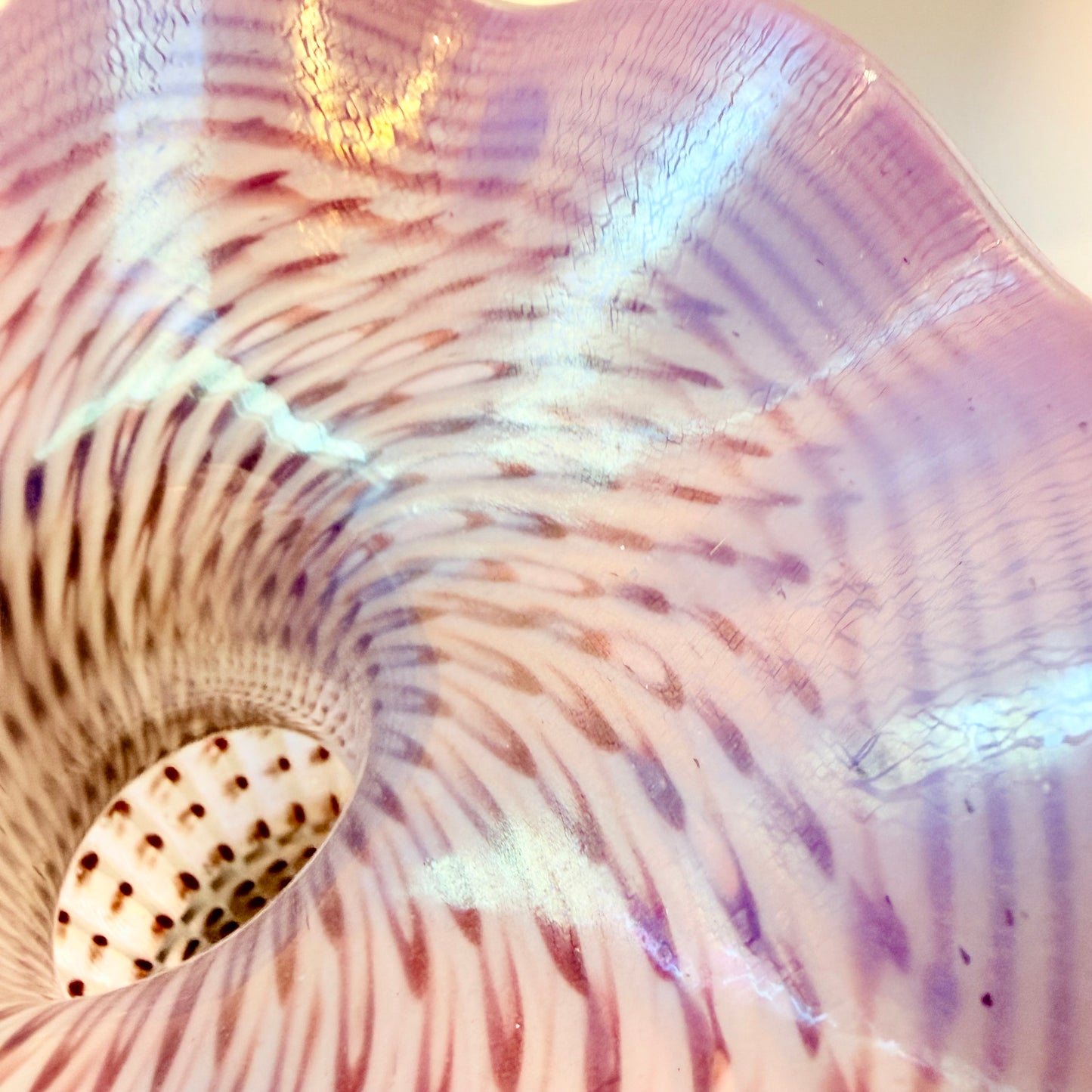 Mermaid Vase pink