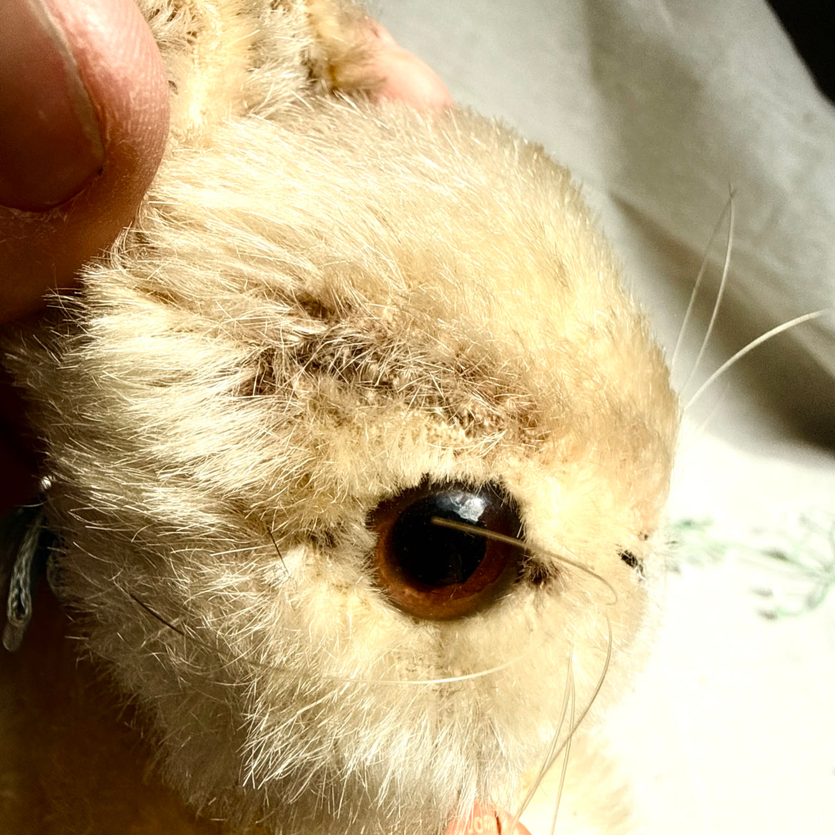 Steiff Hase