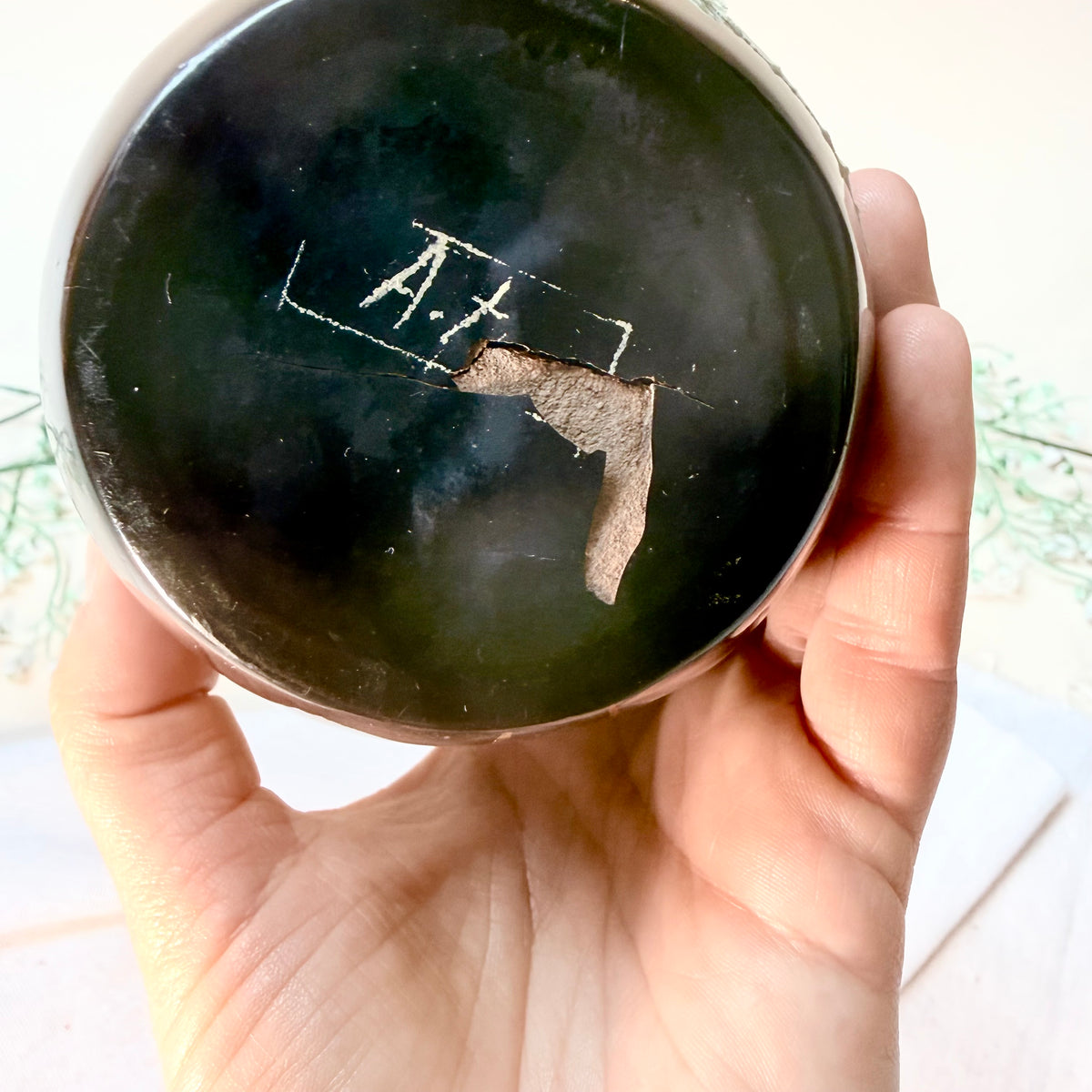 Asiatische Lackvase Fische