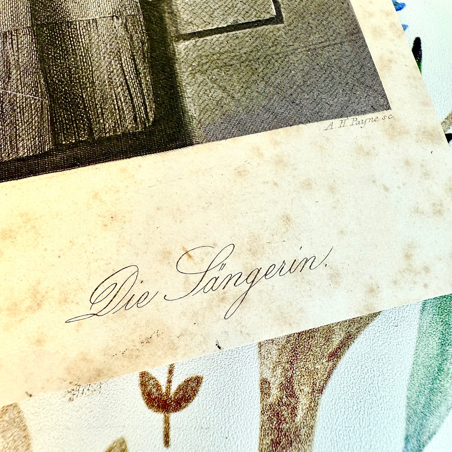 Stahlstich „Die Sängerin“