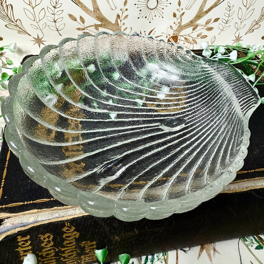 Muschelschale Glas