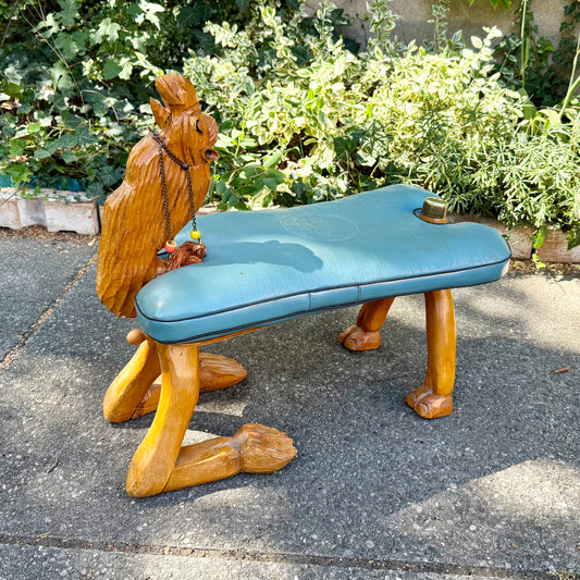 Kamelhocker Marokko
