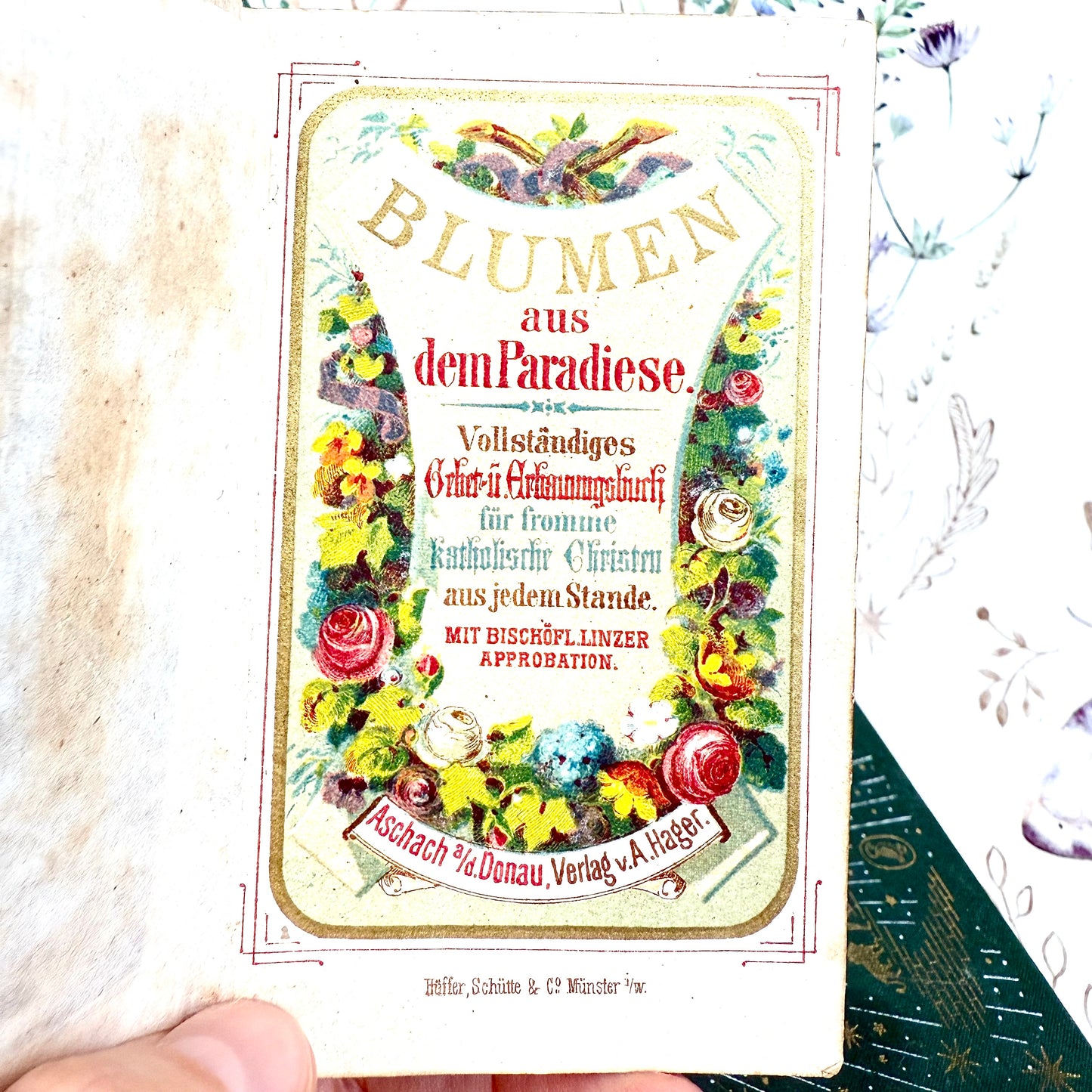 Blumen aus dem Paradiese