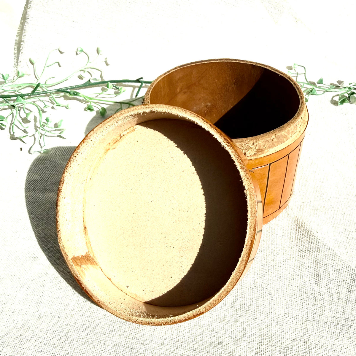 Leder Box Distel