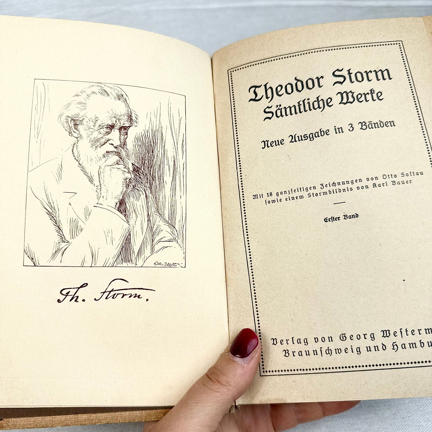 Antike Theodor Storm Bücher