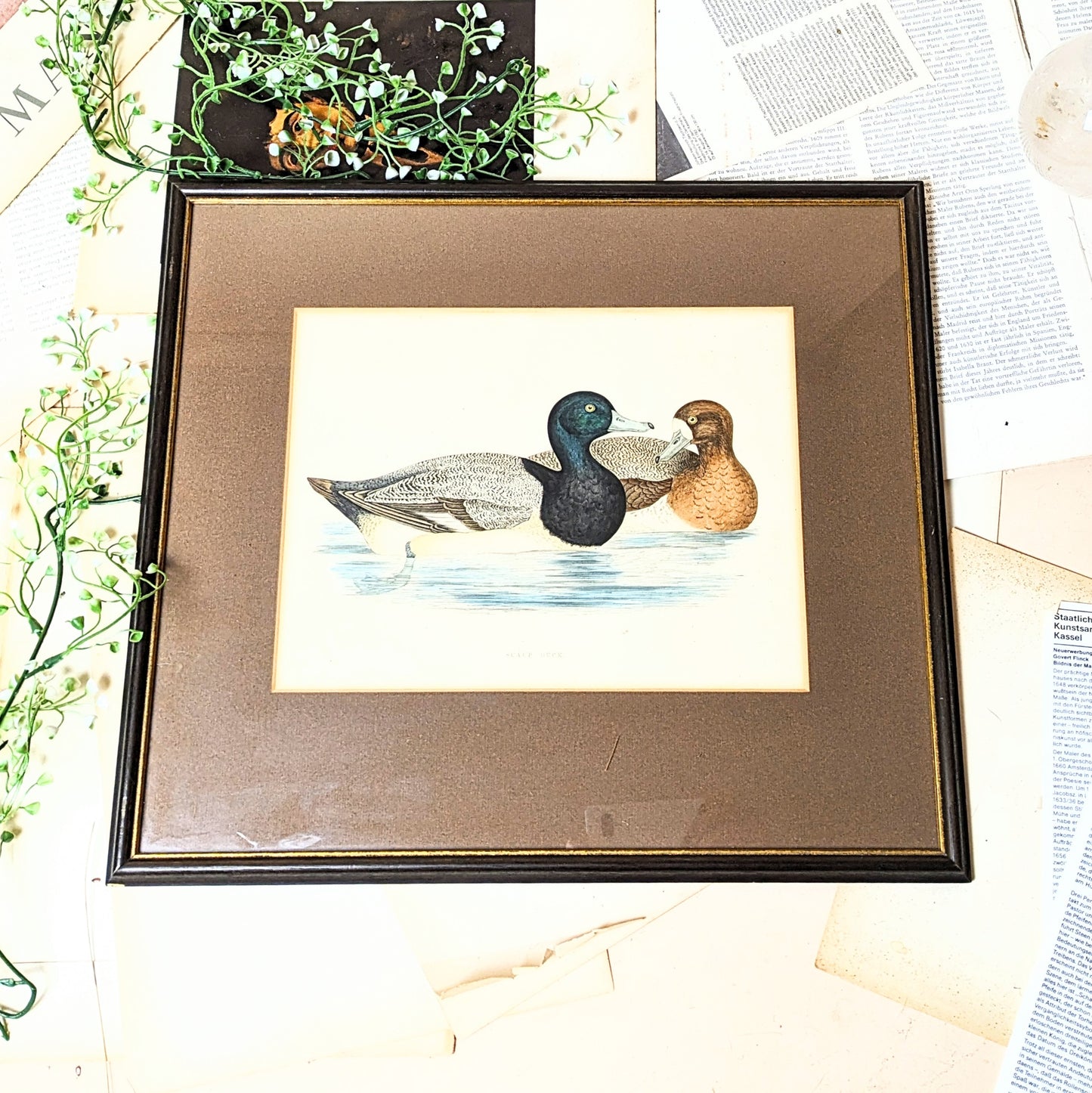 Illustration “Ducks”
