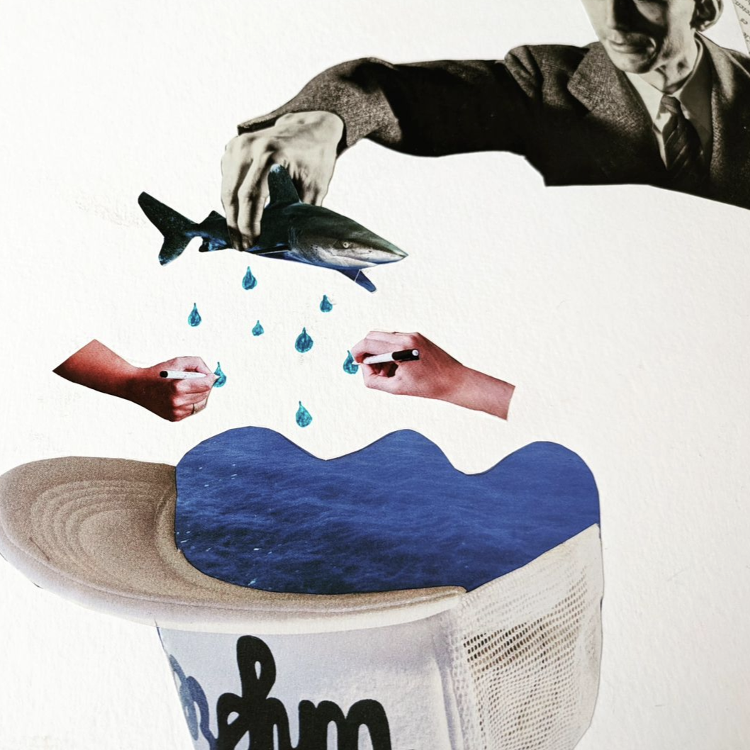 Collage « Réservoir à requins », DIN A4