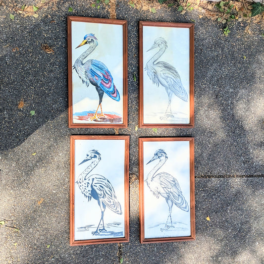 Set of crane illustrations hand-painted