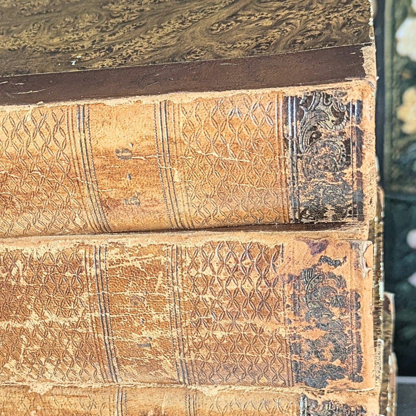 Série de livres « Histoire du monde de Schlosser » Antique