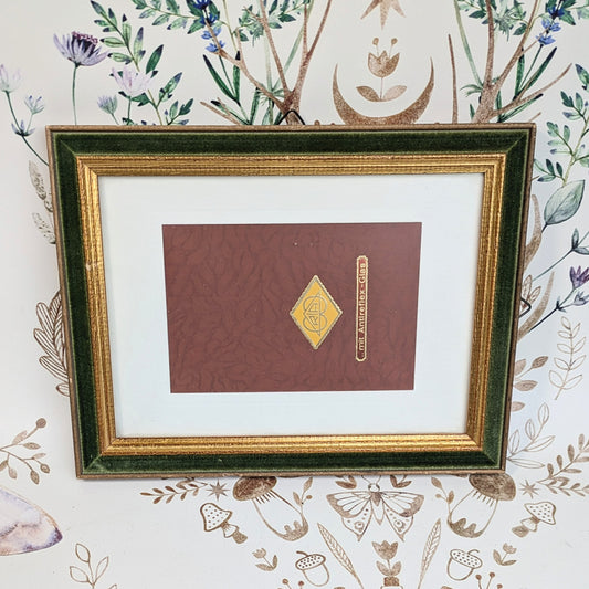 Green velvet picture frame