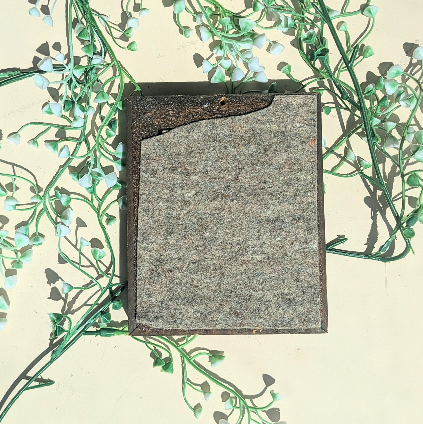 Image de tuile sauge